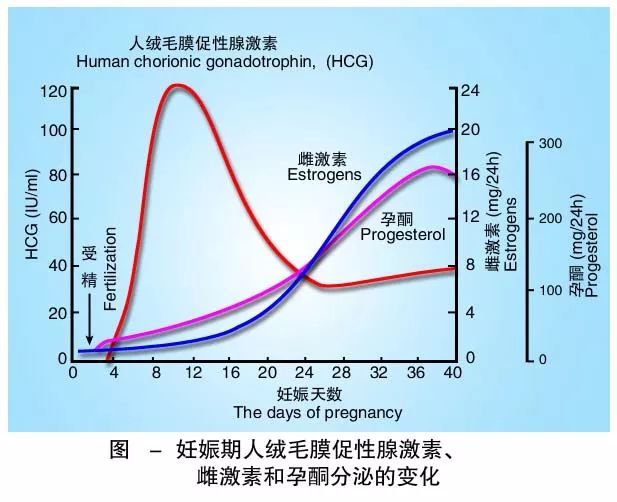 懷孕期間HCG低怎么辦？